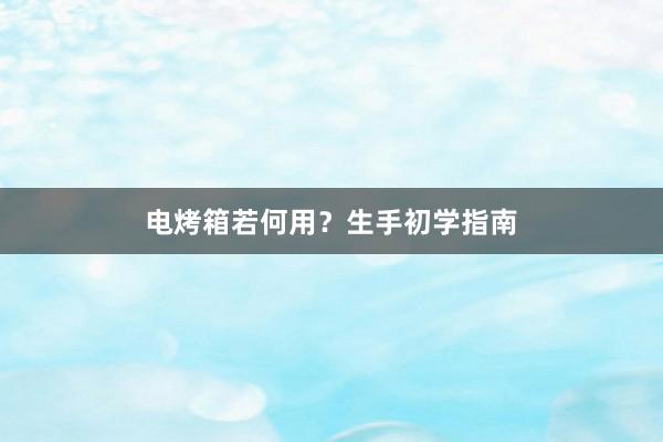 电烤箱若何用？生手初学指南